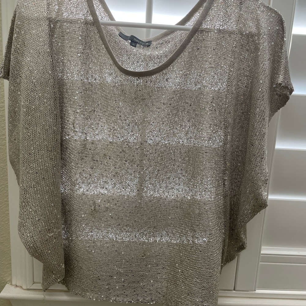 Elegant Silver Sheer Women's Top